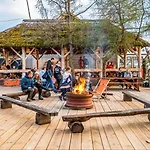 Przystan Tlo Dla Mew *