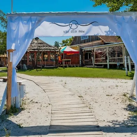 Przystan Tlo Dla Mew