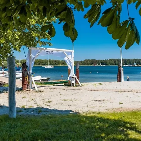 Przystan Tlo Dla Mew ريدزيفو