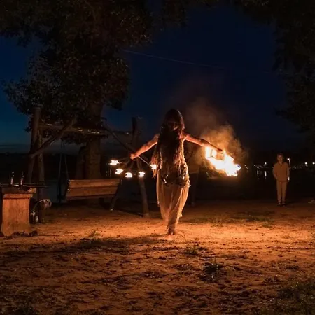 Przystan Tlo Dla Mew