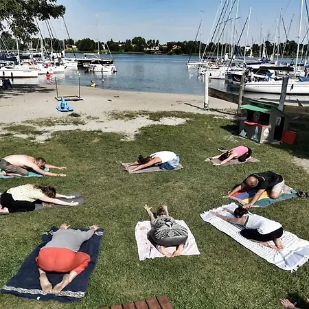 Przystan Tlo Dla Mew *