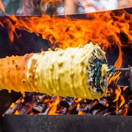 Przystan Tlo Dla Mew