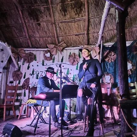 Przystan Tlo Dla Mew