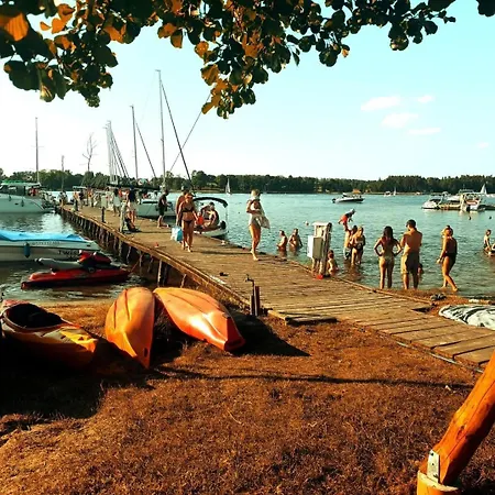 Przystan Tlo Dla Mew *