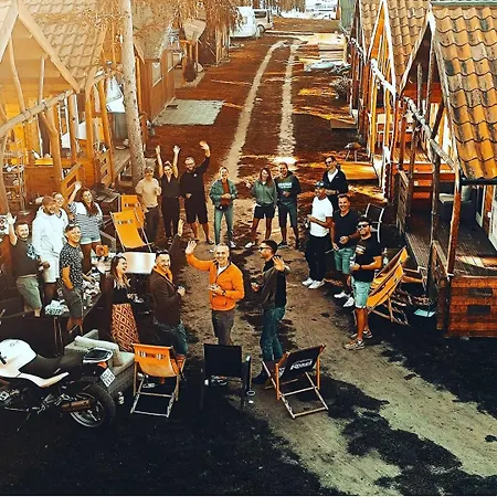 Przystan Tlo Dla Mew